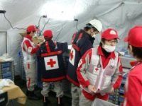 Croix-Rouge Japonaise