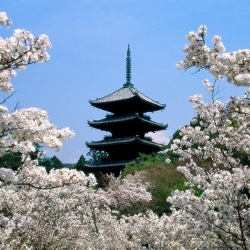Le temple Ninna-ji